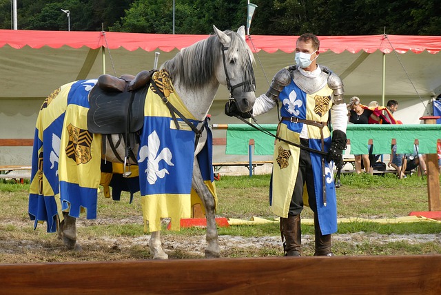 的足球赛场 的足球赛场