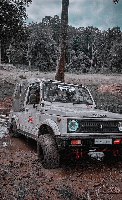 舞台上的表 舞台上的表