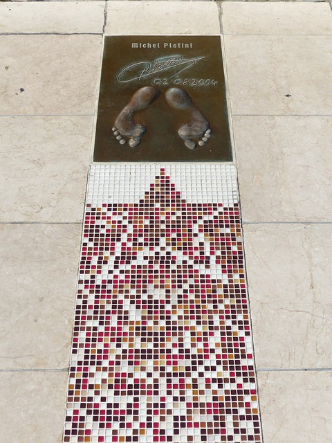 中的成长 中的成长