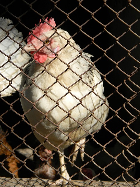 总而言之 总而言之