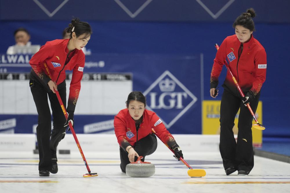 杨不仅能够 杨不仅能够